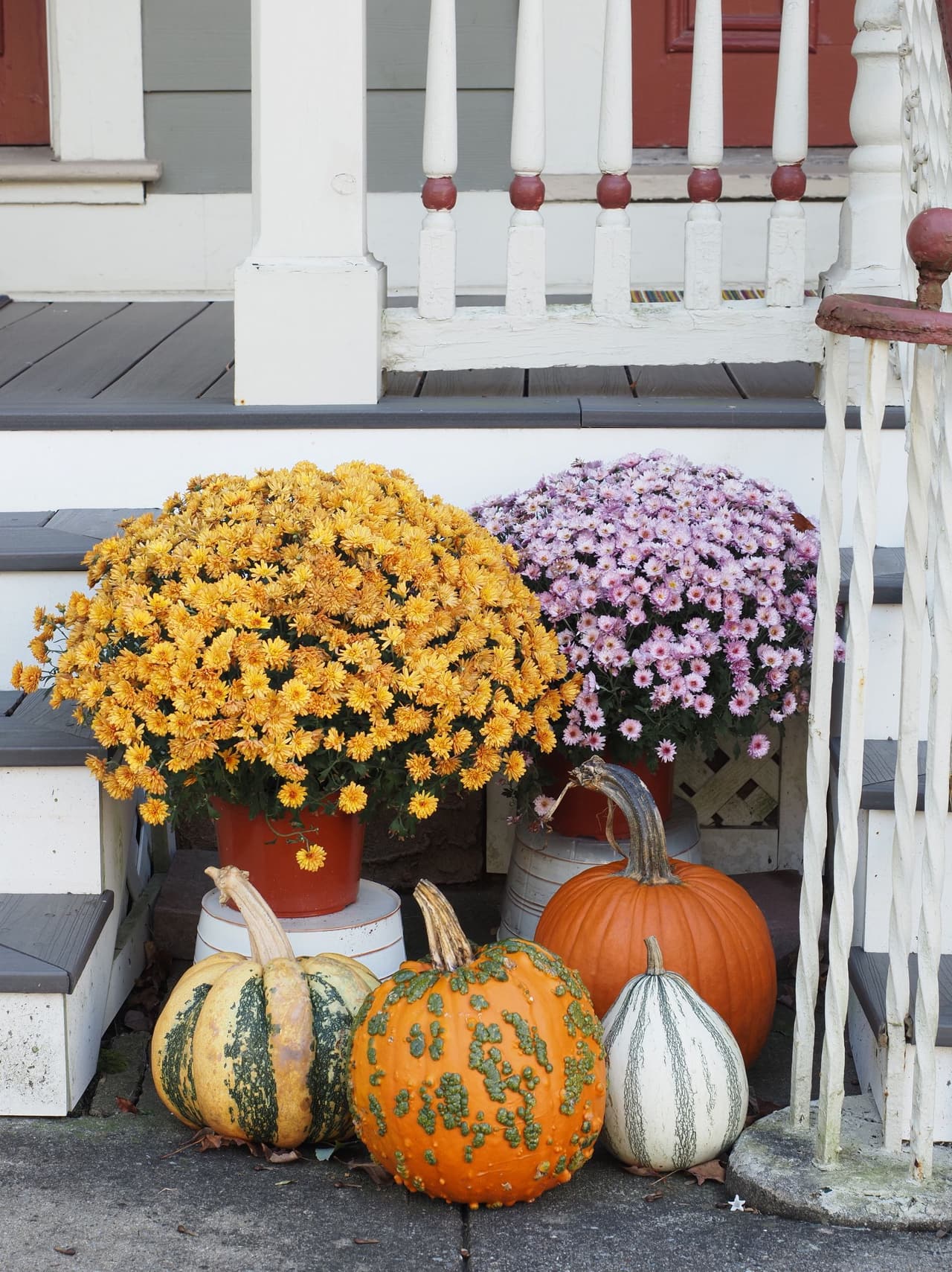 Porch steps with golden and lavender mums and decorative pumpkins